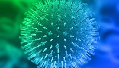 Vías de infección polo virus do papiloma humano